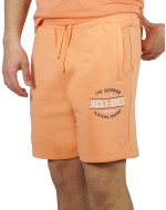 Jack & Jones Ανδρική Βερμούδα 